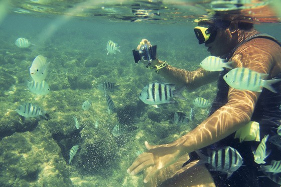 As piscinas naturais da Costa dos Corais são verdadeiros aquários repletos de fauna marinha