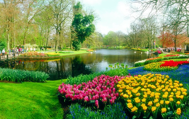 Keukenhof Gardens, na Holanda, visitado pela AmaWaterways