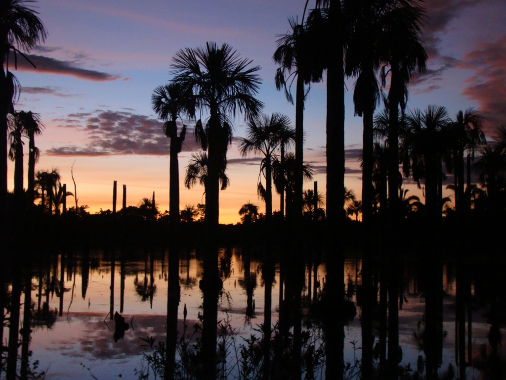 Lagoa das Araras, Bom Jardim, Nobres (MT) - Foto Site derepente1000coisas