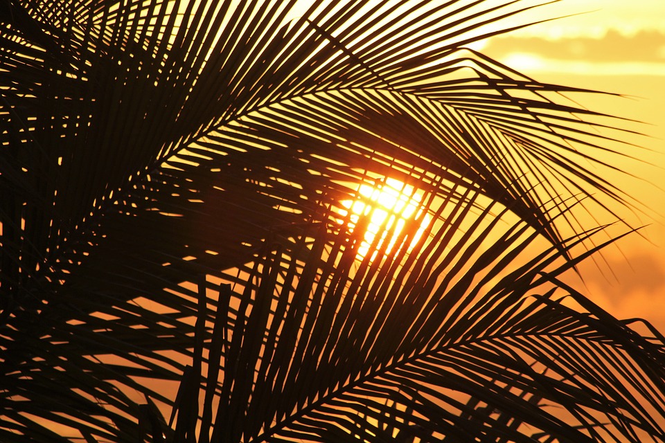 Sky Paradise Sun Of Jamaica Sun Caribbean Sunset