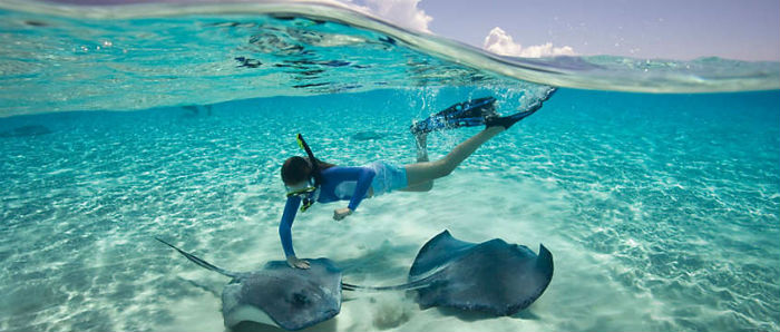 Bahamas - Nadando com raias - Foto Bluegreen Vacations